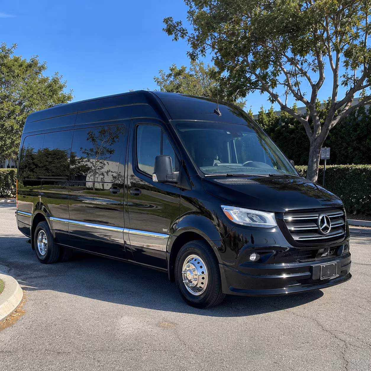 book the perfect ride for your next birthday 3