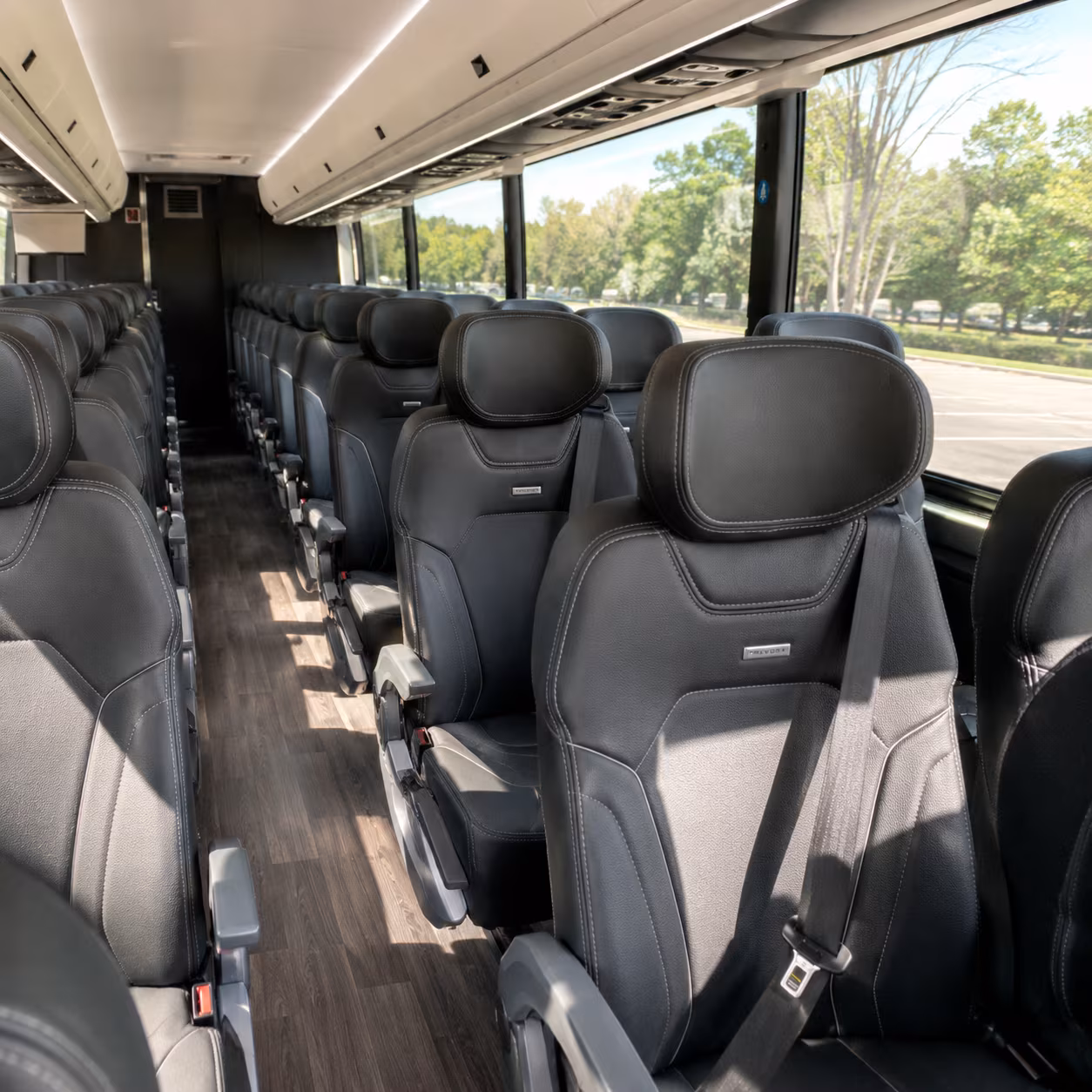 thornton family reunion charter bus rental